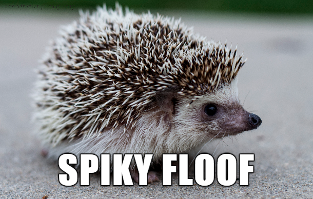 alternate names for animals - Spiky Floof