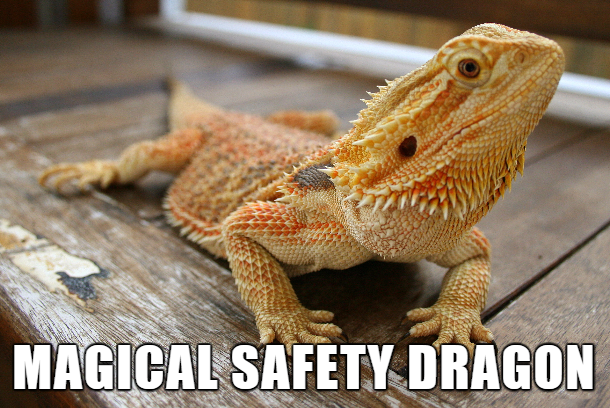 internet names for animals - Magical Safety Dragon