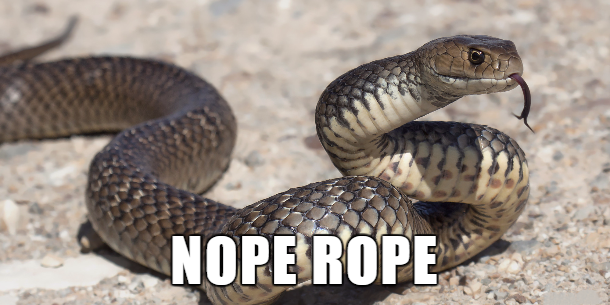 australian animals snakes - Nope Rope