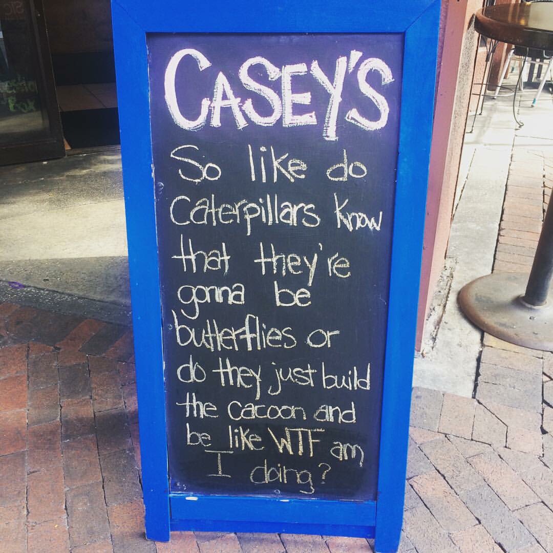 blackboard - Casey'S So do Caterpillars Know that they're gonna be butterflies or do they just build the cacoon and be Wtf am I doing?
