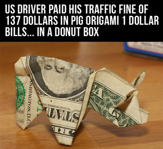 guy pays ticket with origami pigs - Us Driver Paid His Traffic Fine Of 137 Dollars In Pig Origami 1 Dollar Bills... In A Donut Box Shington, D.C. Lls