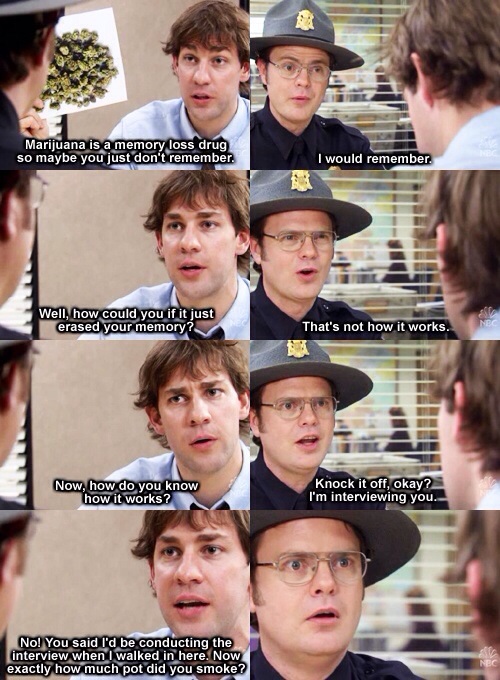 office memes dwight and jim - Marijuana is a memory loss drug so maybe you just don't remember. I would remember. Well, how could you if it just erased your memory? That's not how it works. Now, how do you know how it works? Knock it off, okay? I'm interv