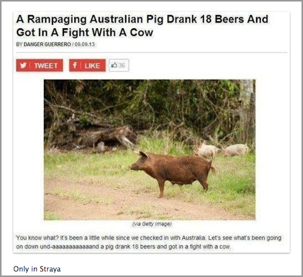 20 Cases of Only in Australia