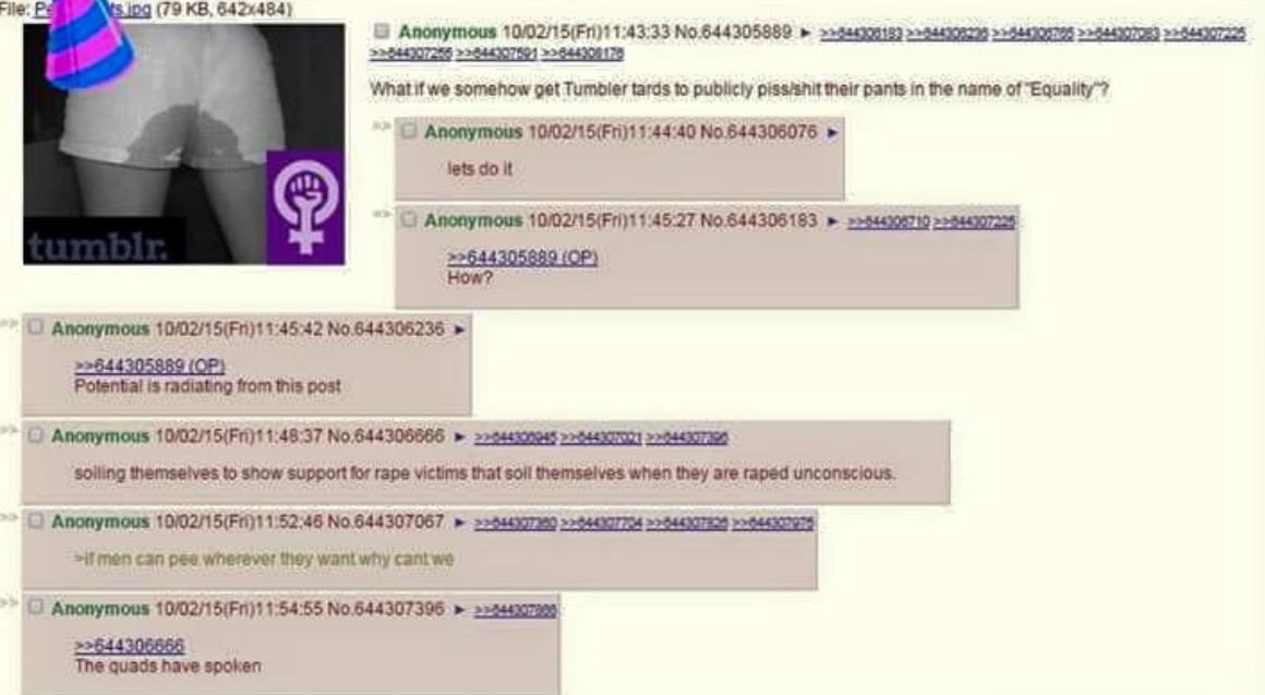 4chan feminist troll - FileEs s .jpg 79 Kb, 64Zx484 3 Anonymous 100215Fri 33 No.644305889 >>2423199 433 4 4 mm What if we somehow get Tumbler tards to publicly pissshit their pants in the name of Equality Anonymous 100215F 40 No.644306076 lets do it >>84%