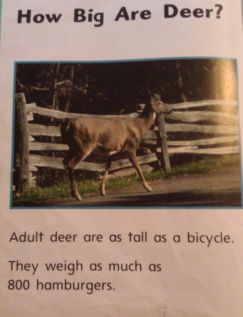 americans will measure with anything but the metric system - How Big Are Deer? Adult deer are as fall as a bicycle. They weigh as much as 800 hamburgers.