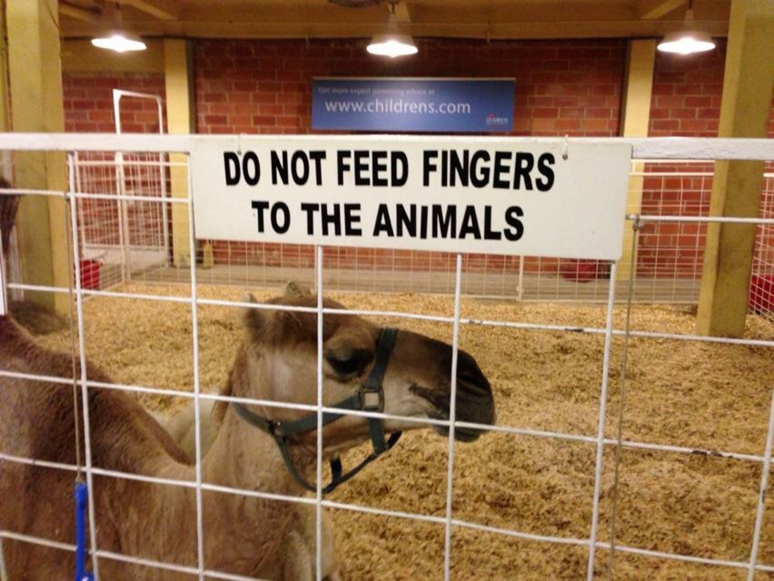 pet - Do Not Feed Fingers To The Animals