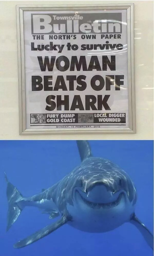 woman beats off shark - Townsville Bulletin The North'S Own Paper Lucky to survive Woman Beats Off Shark Fury Dumpe Gold Coast I Local Digger Wounded Monday