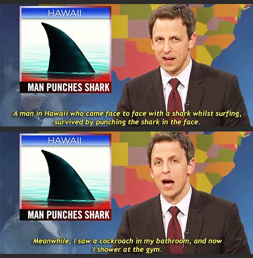 punch shark meme - Hawaii Man Punches Shark A man in Hawaii who came face to face with a shark whilst surfing, survived by punching the shark in the face. Hawaii Man Punches Shark Meanwhile, I saw a cockroach in my bathroom, and now I shower at the gym.