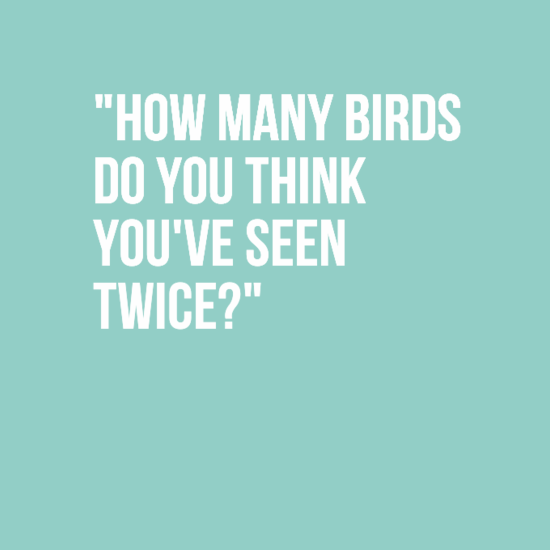 graphics - "How Many Birds Do You Think You'Ve Seen Twice?"