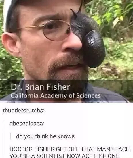 dr fisher snail - VT6 Dr. Brian Fisher California Academy of Sciences thundercrumbs obesealpaca do you think he knows Doctor Fisher Get Off That Mans Face You'Re A Scientist Now Act One