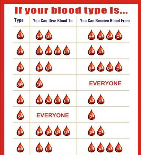 blood type guide - If your blood type is... Type You Can Give Blood To You Can Receive Blood From Everyone Everyone