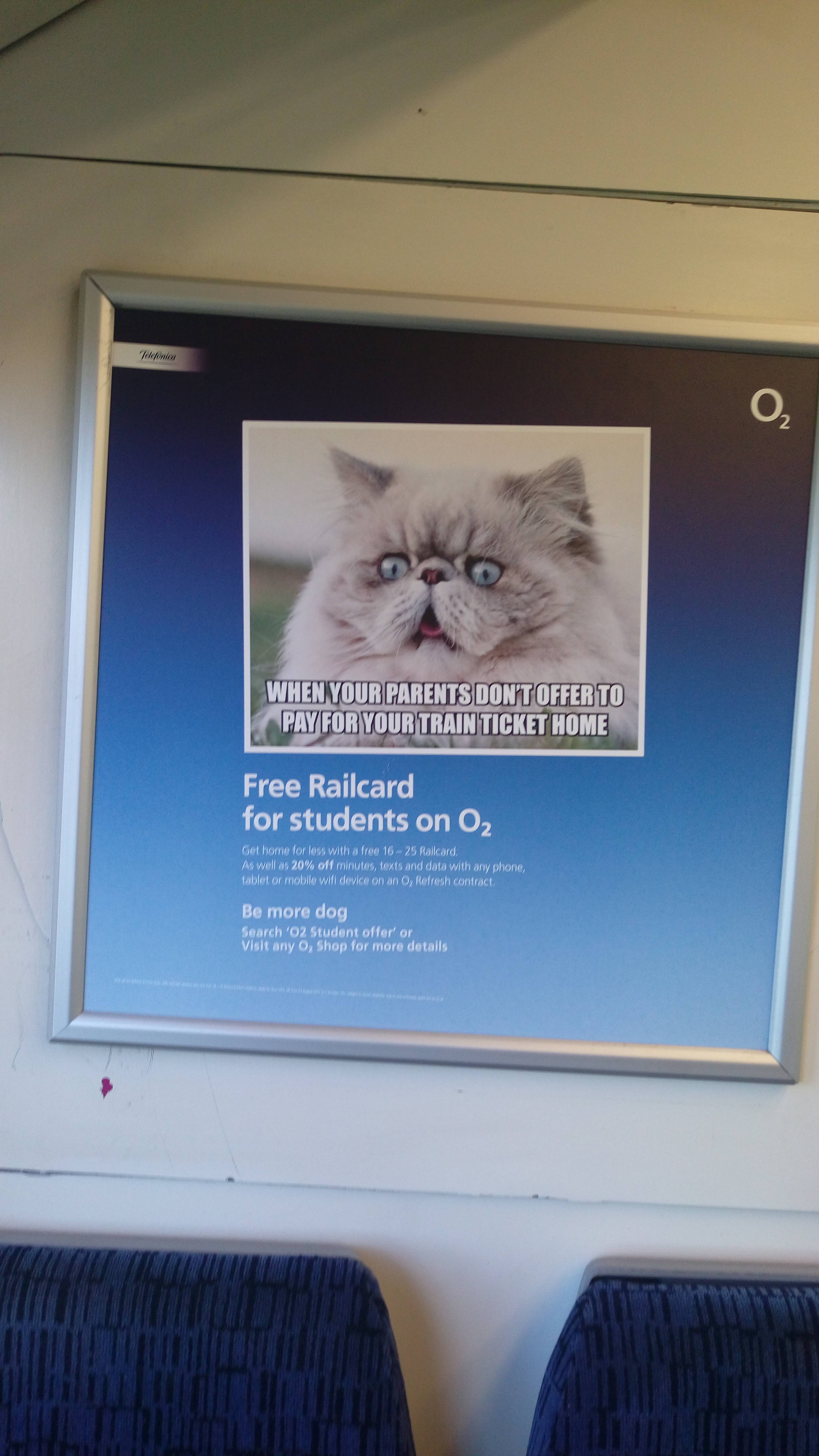 me gusta cat - When Your Parents Dont Offer To Pay Foydun Train Ticket Nome Free Railcard for students on O