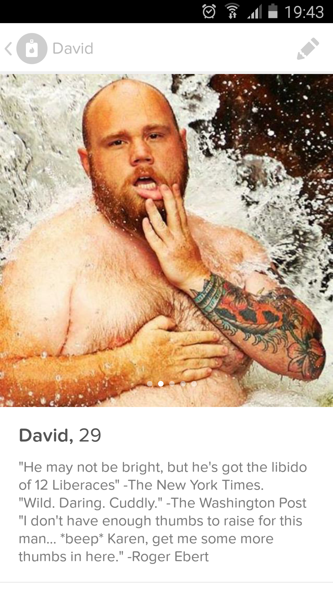 random pic tinder fake profiles funny - 0 David David, 29 "He may not be bright, but he's got the libido of 12 Liberaces The New York Times. "Wild. Daring. Cuddly." The Washington Post "I don't have enough thumbs to raise for this man...beep karen, get me
