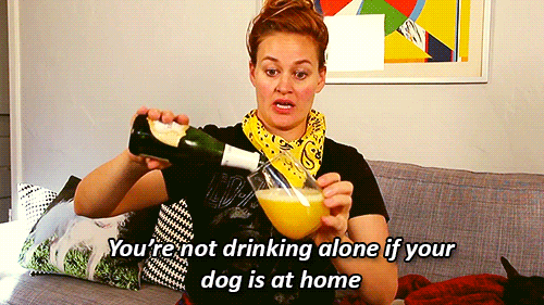 random pic funny drink gif - You're not drinking alone if your dog is at home