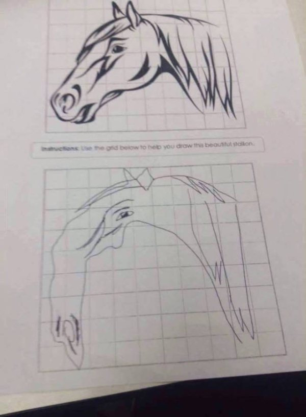 bad horse drawing meme - mend beow to be you draw this beautustaidon
