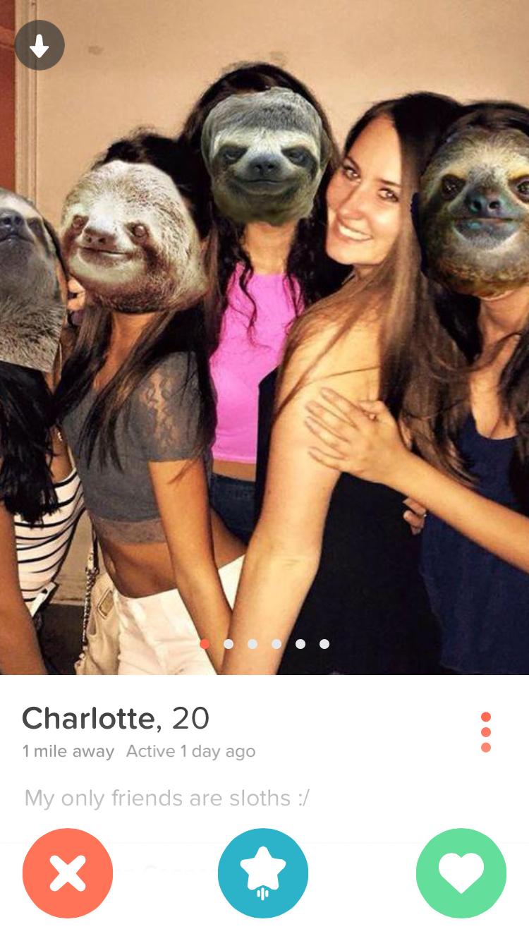 tinder - funny quotes for tinder - Charlotte, 20 1 mile away Active 1 day ago My only friends are sloths