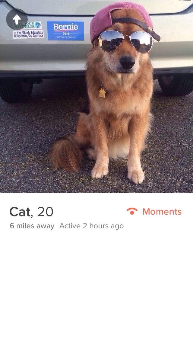 tinder - dog with backwards hat - Moeder Bernie If You Think Education Is Expensive, Iry Ignorance 2016 Des Ers.Com Moments Cat, 20 6 miles away Active 2 hours ago