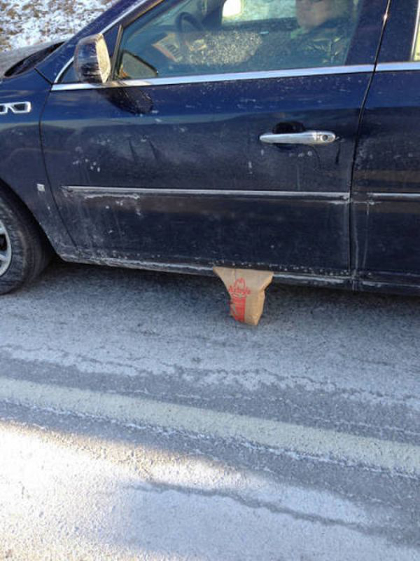 16 People Who Are Having a Worse Day Than You