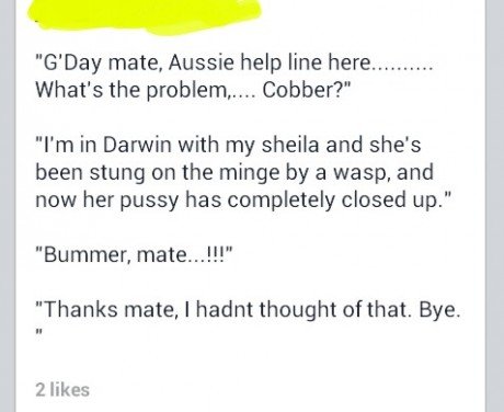 aussie joke bummer mate - "G'Day mate, Aussie help line here.......... What's the problem..... Cobber?" "I'm in Darwin with my sheila and she's been stung on the minge by a wasp, and now her pussy has completely closed up." "Bummer, mate..!!!" "Thanks mat
