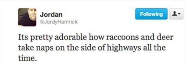 funny tweets twitter - ing Jordan JordyHamrick Its pretty adorable how raccoons and deer take naps on the side of highways all the time.