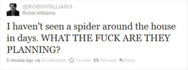 funny quotes about spiders - Robin Williams I haven't seen a spider around the house in days. What The Fuck Are They Planning? 6 minutes ago va SocialOomph Favorite t7 Retweet