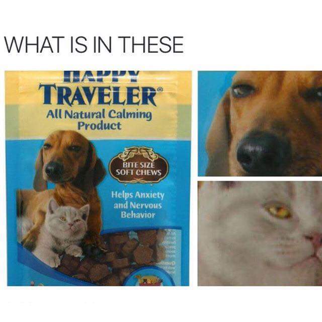 tweet - all natural calming product for dogs - What Is In These Traveler All Natural Calming Product Bite Size Soft Chews Helps Anxiety and Nervous Behavior