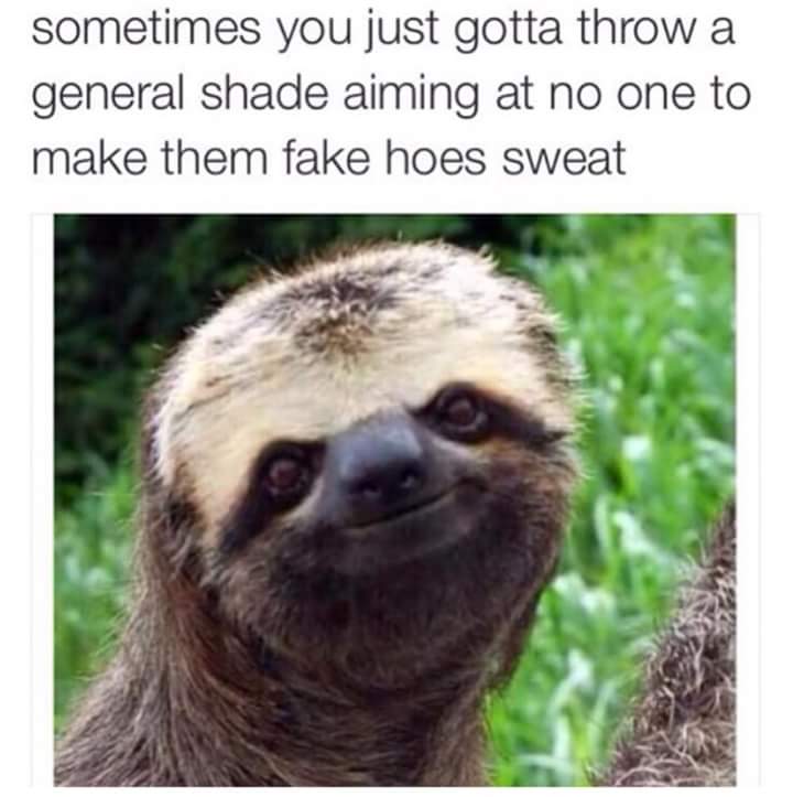 tweet - funny sloth face - sometimes you just gotta throw a general shade aiming at no one to make them fake hoes sweat