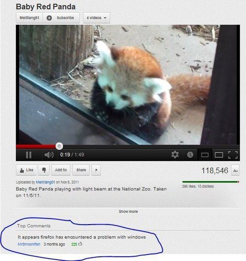 youtube hilarious youtube comments - Baby Red Panda Motxango1 Subscribe 4 videos 3 L . Add to 118,546 . Uploaded by Melango1 on Baby Red Panda playing with light beam at the National Zoo. Taken on 11511 396 ikes 10 dites Show more Top It appears firefox h