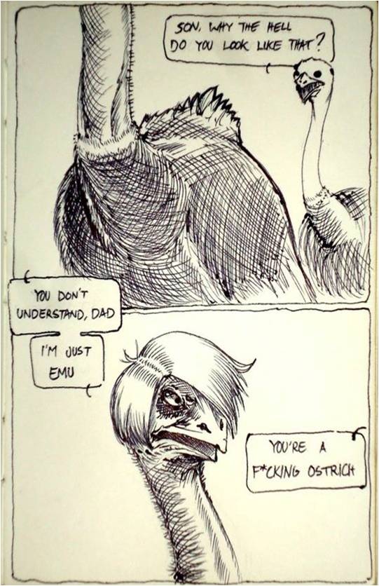 emo emu meme - Son, Why The Hell Do You Look That? You Don'T Understand, Dad I'M Just Emu You'Re A FCking Ostrich