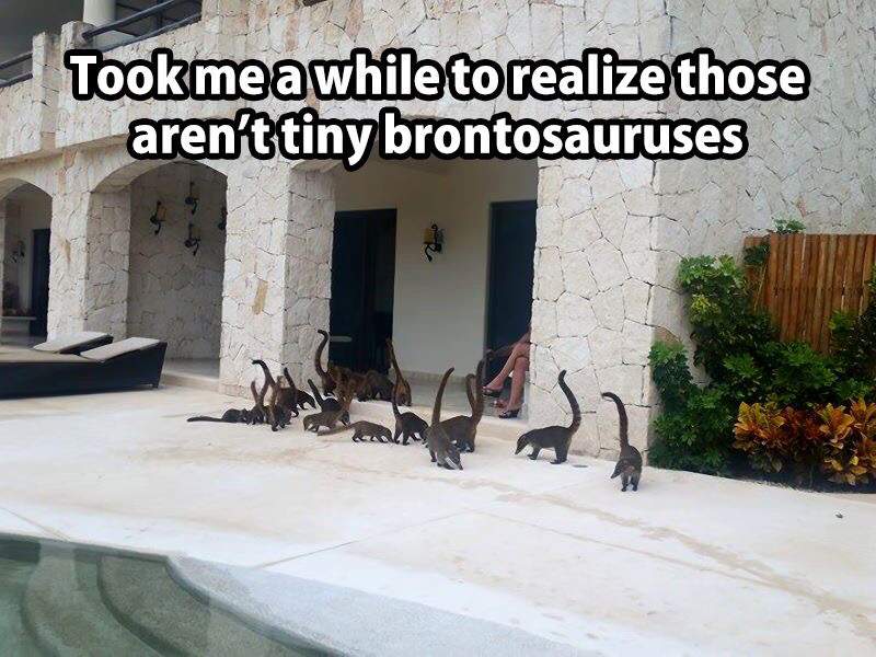 tiny brontosaurus - Took me a while to realize those aren't tiny brontosauruses