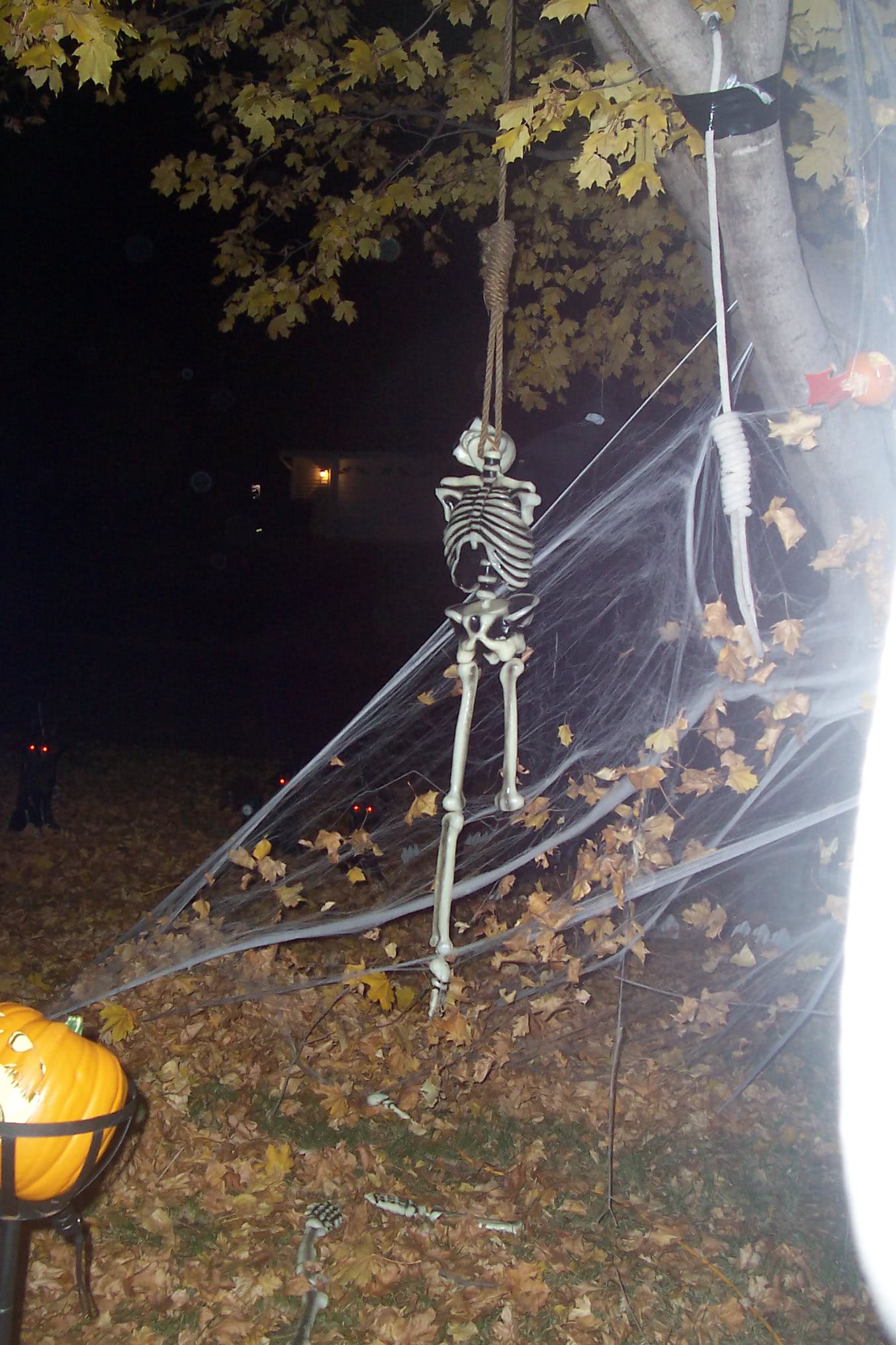 In Sparta, Michigan, a fourteen-year-old boy choked to death during a 

Halloween, after he replaced the skeleton hanging by a noose with 

himself.