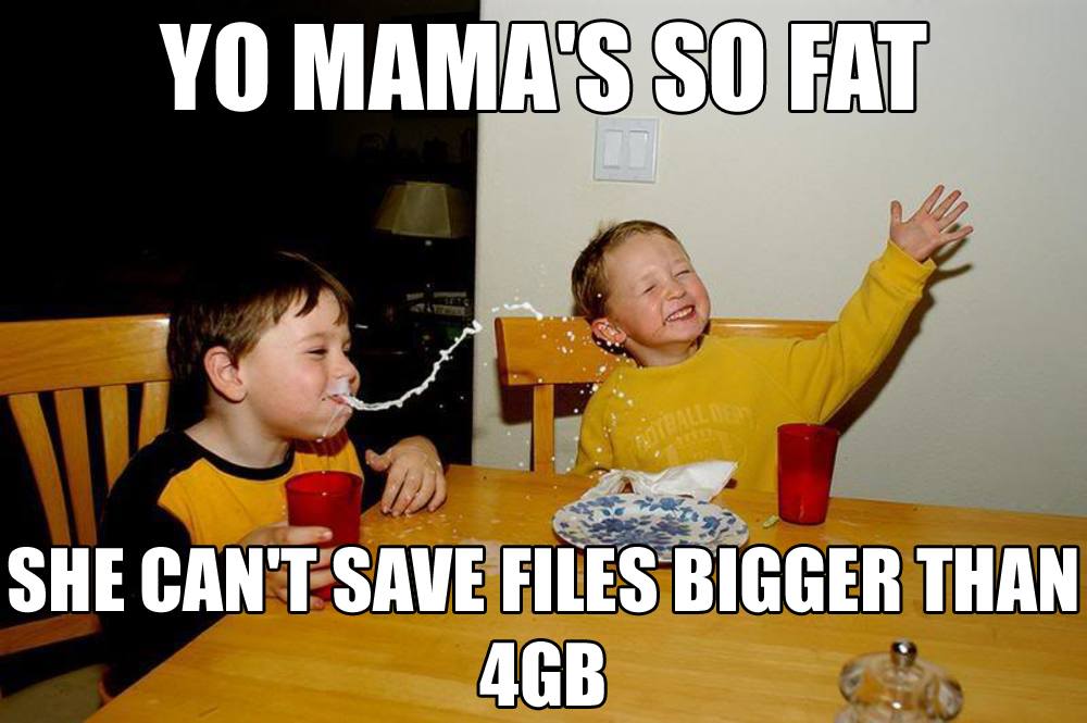 your mom is so fat - Yo Mama'S So Fat She Can'T Save Files Bigger Than 4GB
