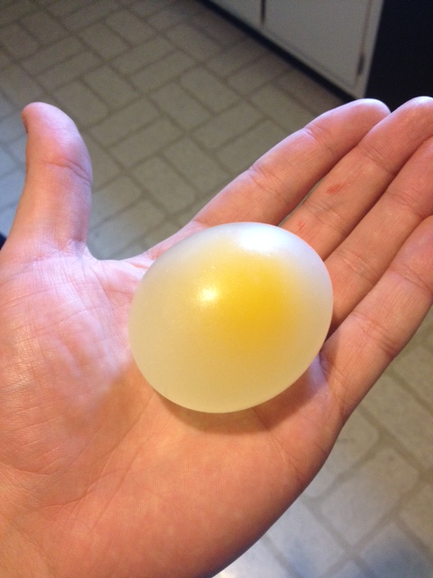 An egg with the shell chemically dissolved.