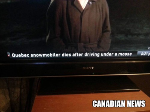 Canada - Quebec snowmobiler dies after driving under a moose Canadian News