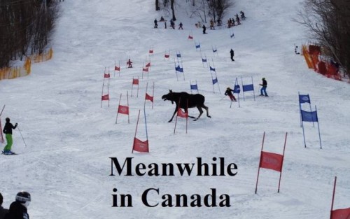 canada funny - Meanwhile in Canada