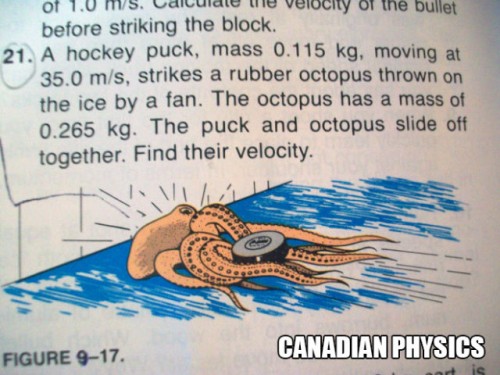 meanwhile in a canadian physics class - of 1.0 ms. Ldiculdle e velocity of the bullet before striking the block. 21. A hockey puck, mass 0.115 kg, moving at 35.0 ms, strikes a rubber octopus thrown on the ice by a fan. The octopus has a mass of 0.265 kg. 