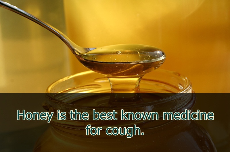 high fructose corn syrup - Honey is the best known medicine for cough.
