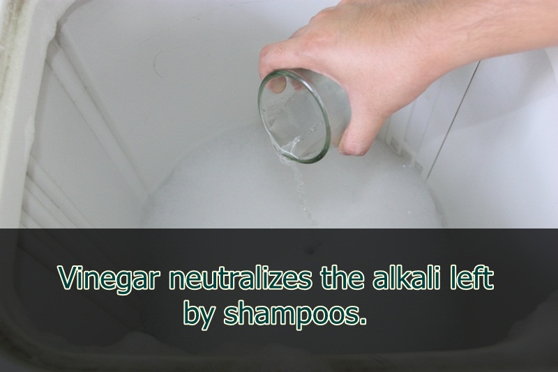 plumbing fixture - Vinegar neutralizes the alkali left by shampoos.