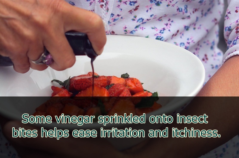 recipe - Some vinegar sprinkled onto insect bites helps ease irritation and itchiness,
