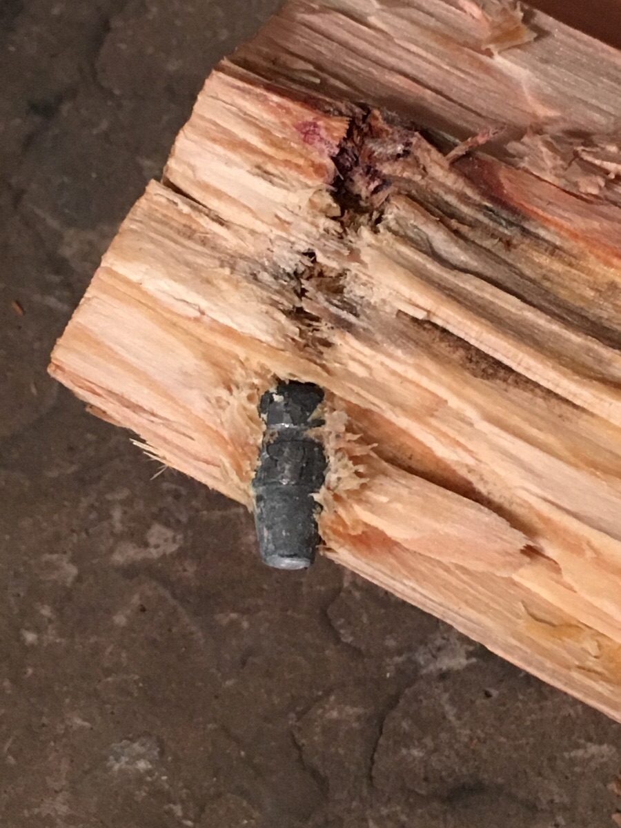 A bullet trapped in fire wood that had been grown over.