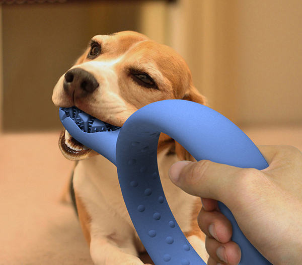 A doggie toothbrush that doubles as a toy.