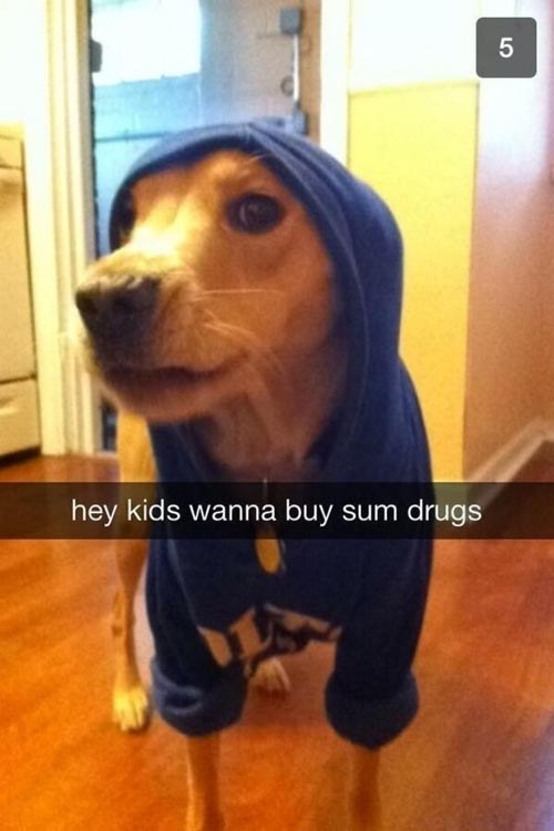 snapchat hey kids wanna buy some drugs dog - hey kids wanna buy sum drugs