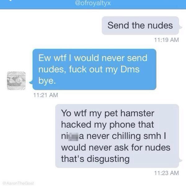 my hamster meme - Send the nudes Ew wtf I would never send nudes, fuck out my Dms bye. Yo wtf my pet hamster hacked my phone that nii a never chilling smh | would never ask for nudes that's disgusting