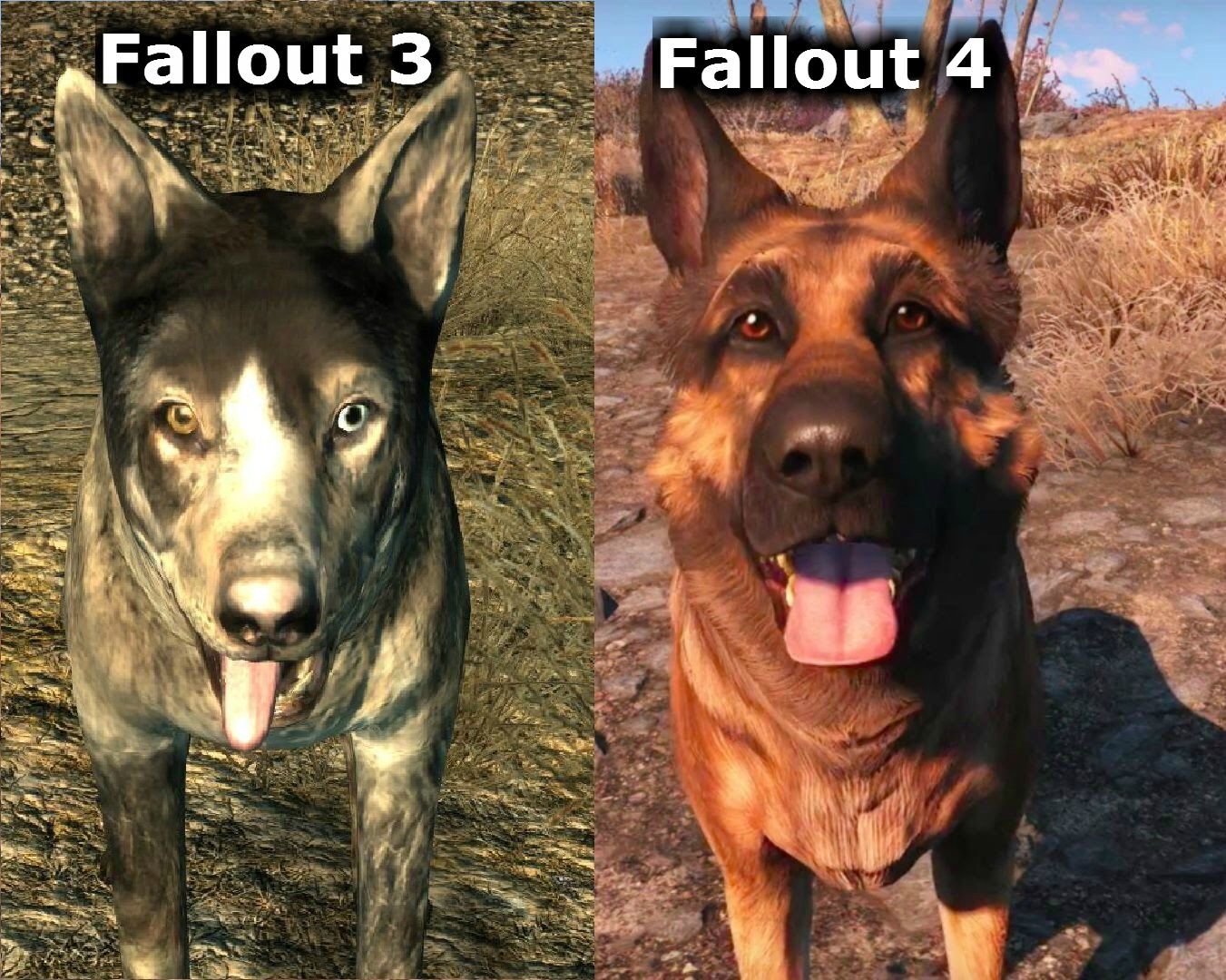 dogmeat fallout 3 vs fallout 4 - Fallout 3 Fallout 4