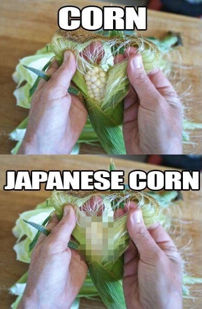 japanese corn - Corn Japanese Corn