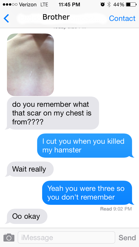 sibling texts meme - 44% O 00 Verizon Lte Brother Contact do you remember what that scar on my chest is from???? I cut you when you killed my hamster Wait really Yeah you were three so you don't remember Read Oo okay O iMessage Send
