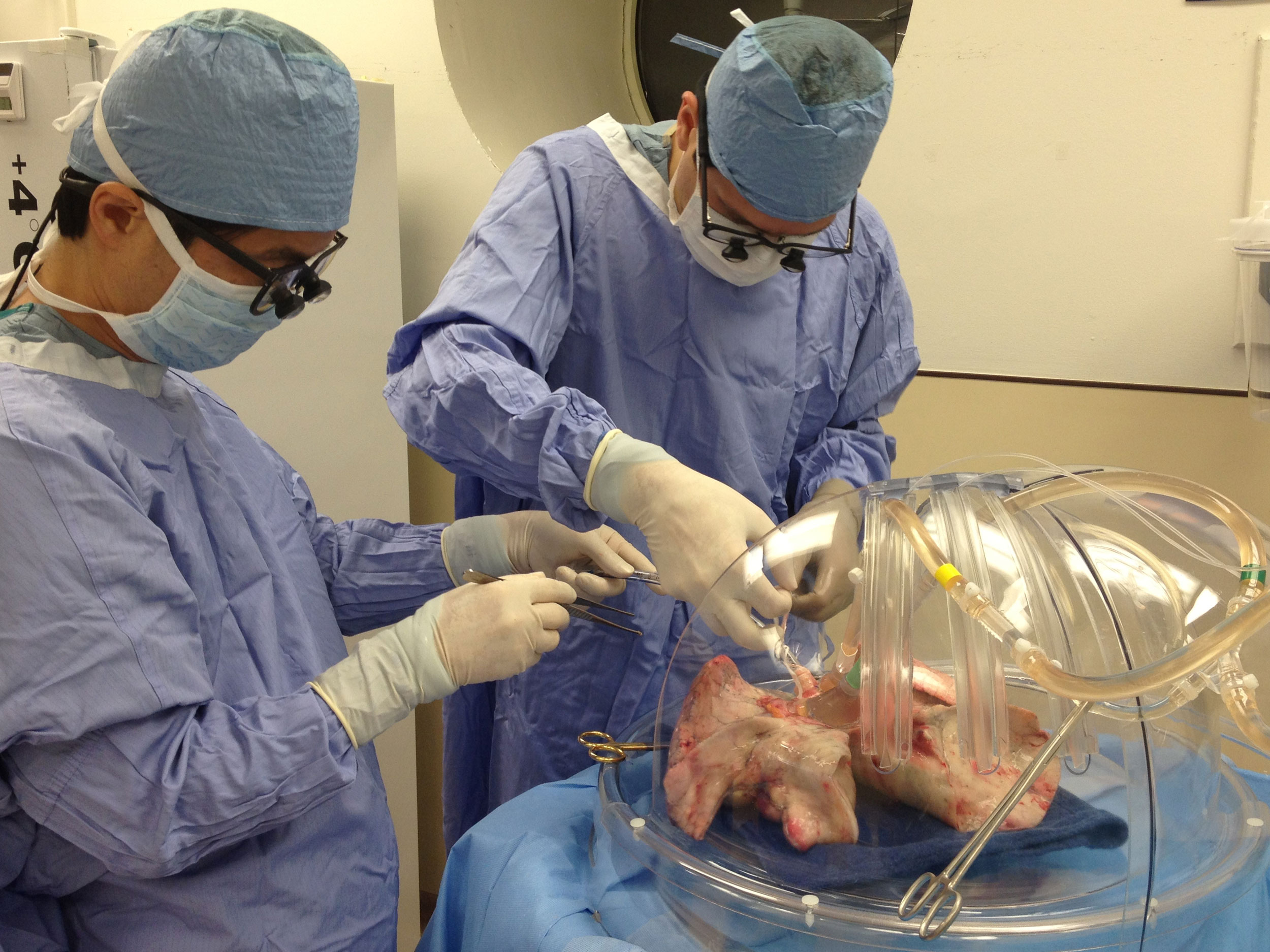 Ex vivo (Latin: "out of the living") is a surgery which takes place 

outside the patient.