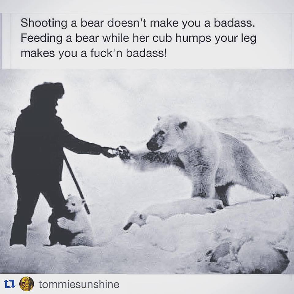 shooting a bear doesnt make you a badass - Shooting a bear doesn't make you a badass. Feeding a bear while her cub humps your leg makes you a fuck'n badass! Li tommiesunshine