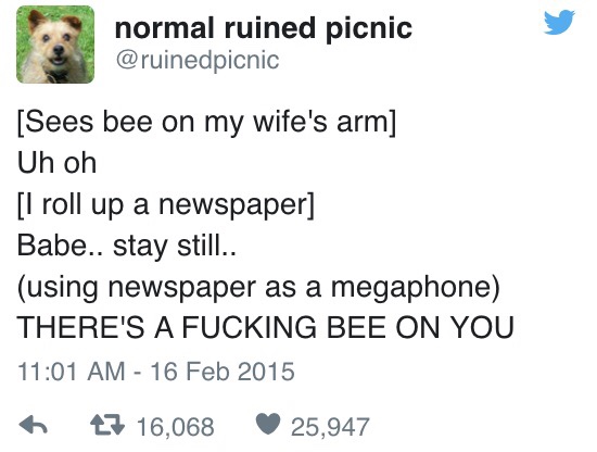 document - normal ruined picnic Sees bee on my wife's arm Uh oh 1 roll up a newspaper Babe.. stay still.. using newspaper as a megaphone There'S A Fucking Bee On You 27 16,068 25,947