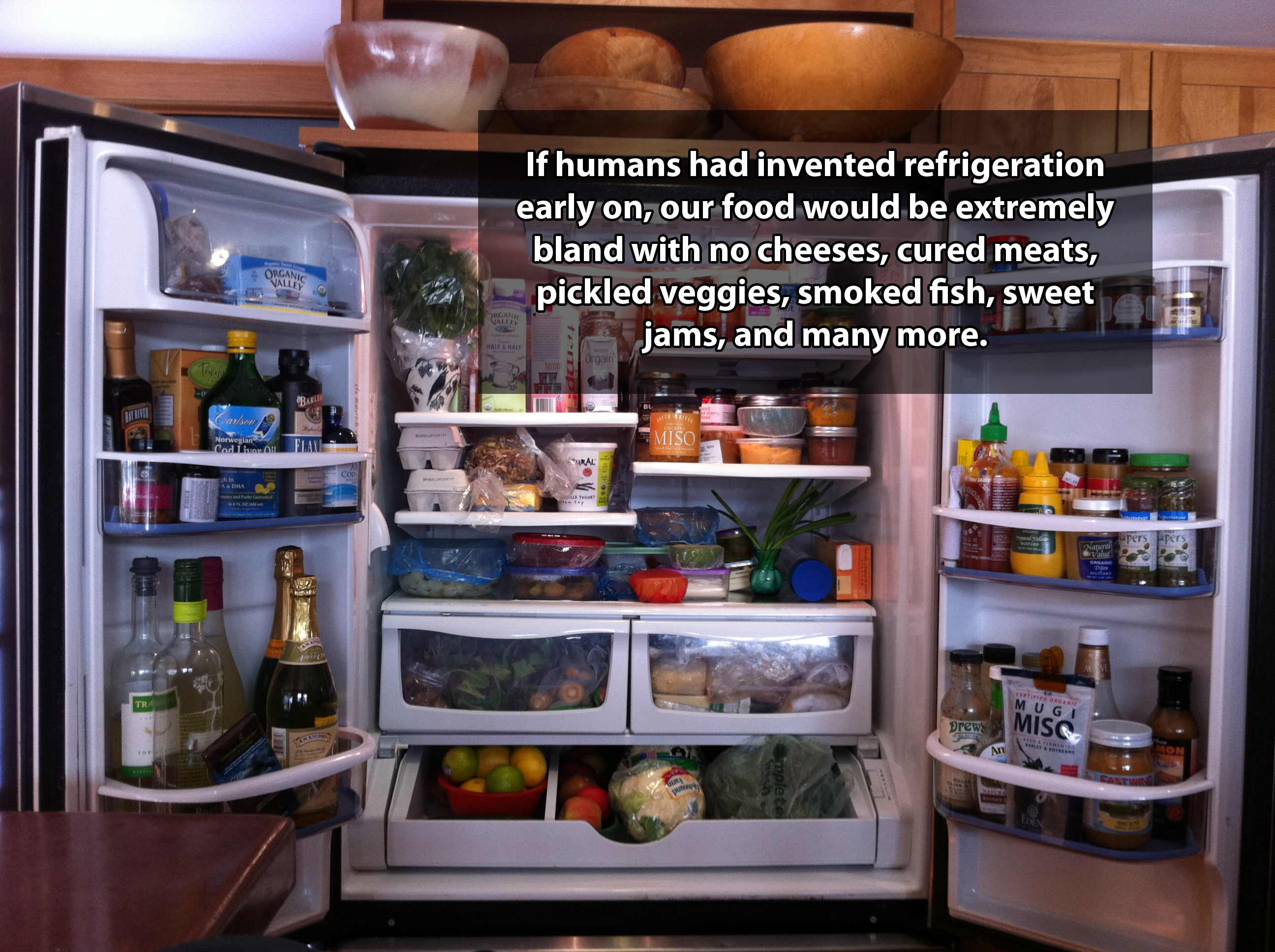 shower thought maintain a fridge - If humans had invented refrigeration early on, our food would be extremely bland with no cheeses, cured meats, pickled veggies, smoked fish, sweet jams, and many more. Miss